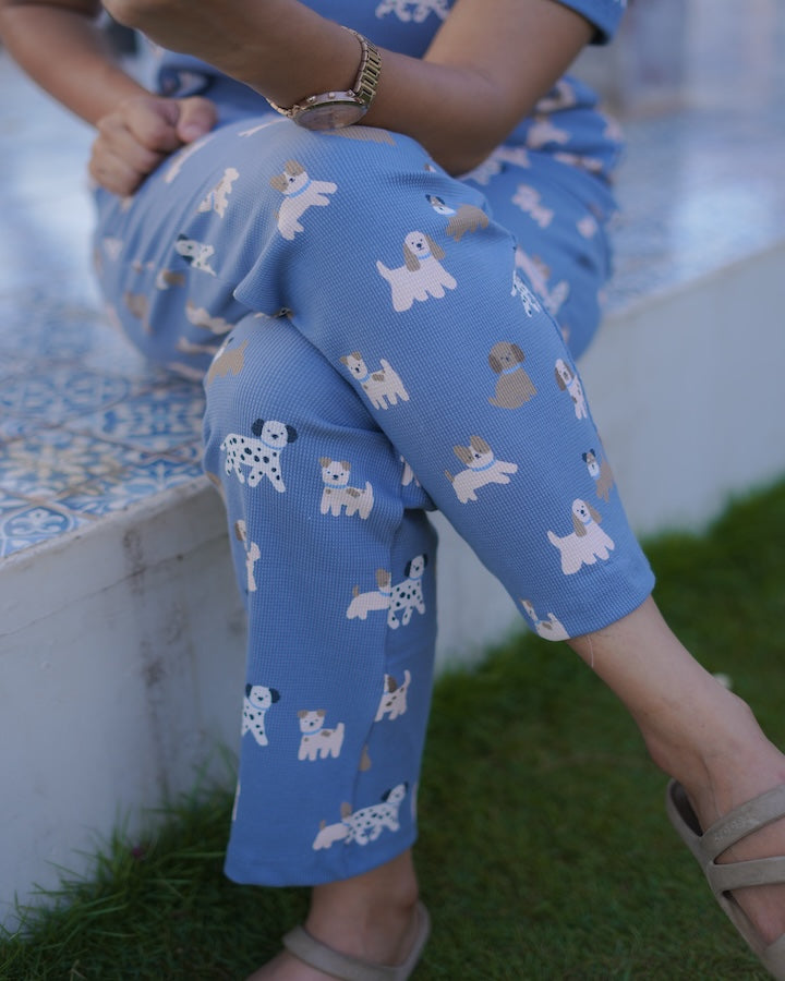 Dreamy Dog days